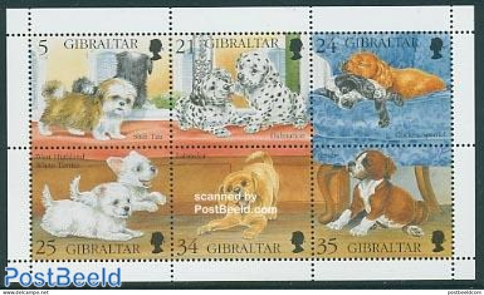 Gibraltar 1996 Dog Puppies 6v M/s, Mint NH, Nature - Dogs - Gibilterra