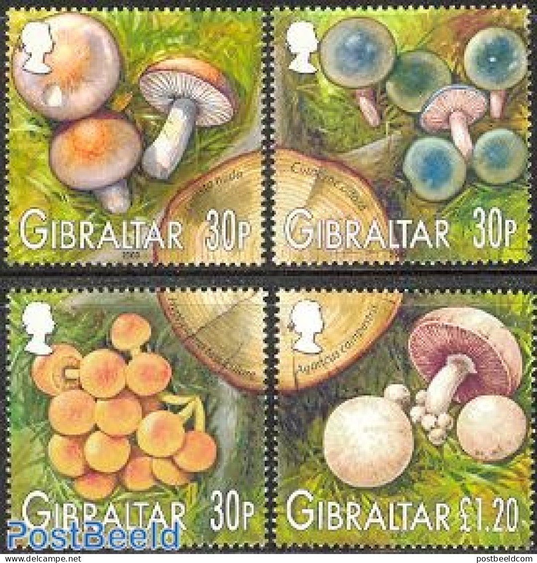 Gibraltar 2003 Mushrooms 4v, Mint NH, Nature - Mushrooms - Pilze