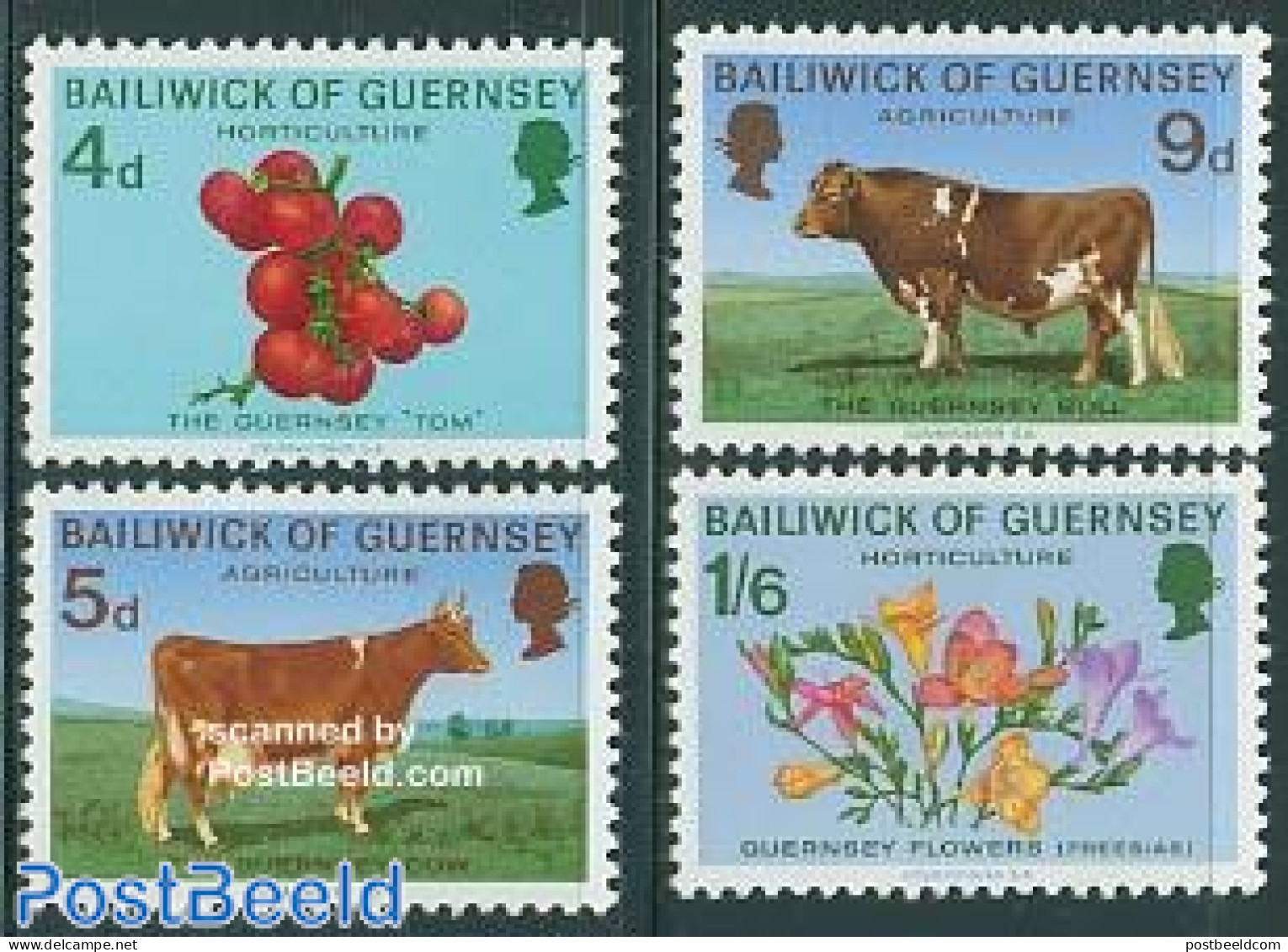 Guernsey 1970 Agriculture 4v, Mint NH, Nature - Cattle - Flowers & Plants - Fruit - Fruit