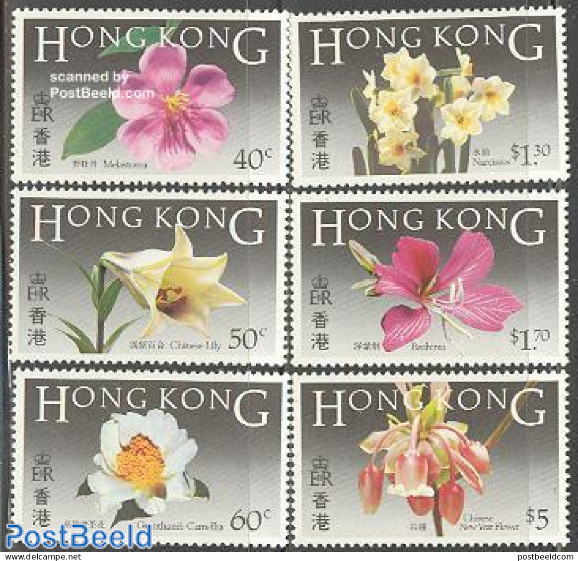 Hong Kong 1985 Flowers 6v, Mint NH, Nature - Flowers & Plants - Nuovi