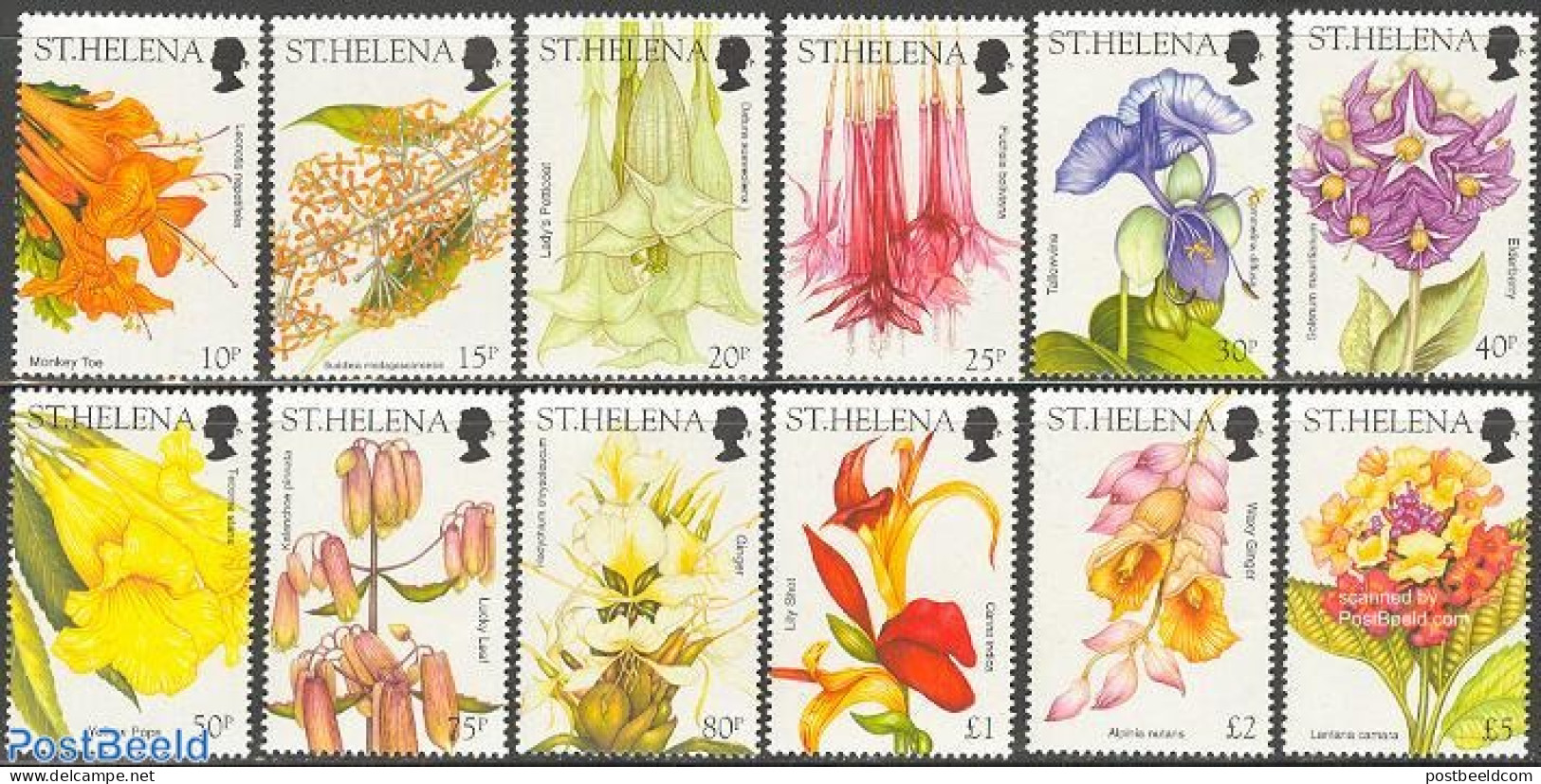 Saint Helena 2003 Definitives, Flowers 12v, Mint NH, Nature - Flowers & Plants - Isola Di Sant'Elena