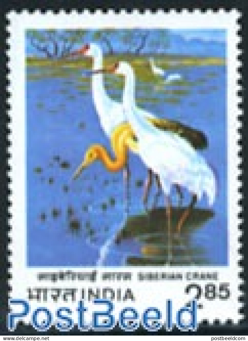 India 1983 Siberian Crane 1v, Mint NH, Nature - Birds - Nuovi