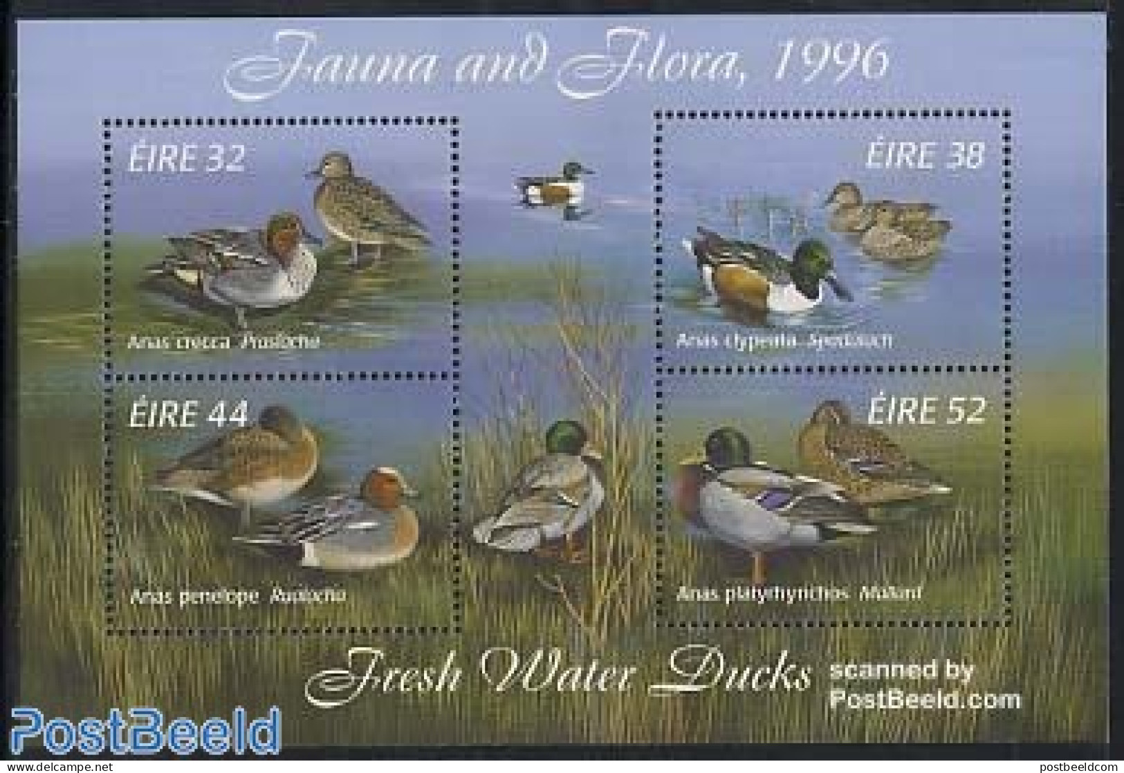 Ireland 1996 Ducks S/s, Mint NH, Nature - Birds - Ducks - Nuevos