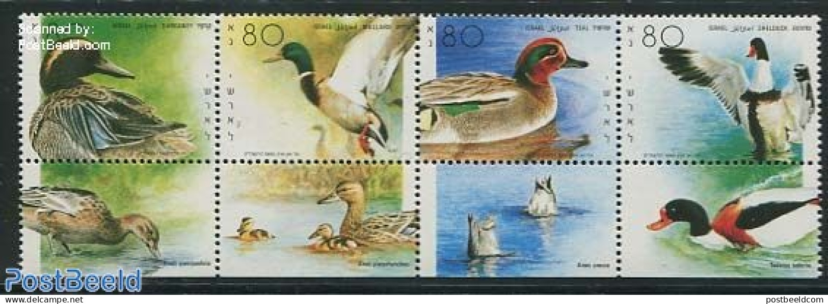 Israel 1989 Ducks 4v [:::], Mint NH, Nature - Birds - Ducks - Unused Stamps (with Tabs)