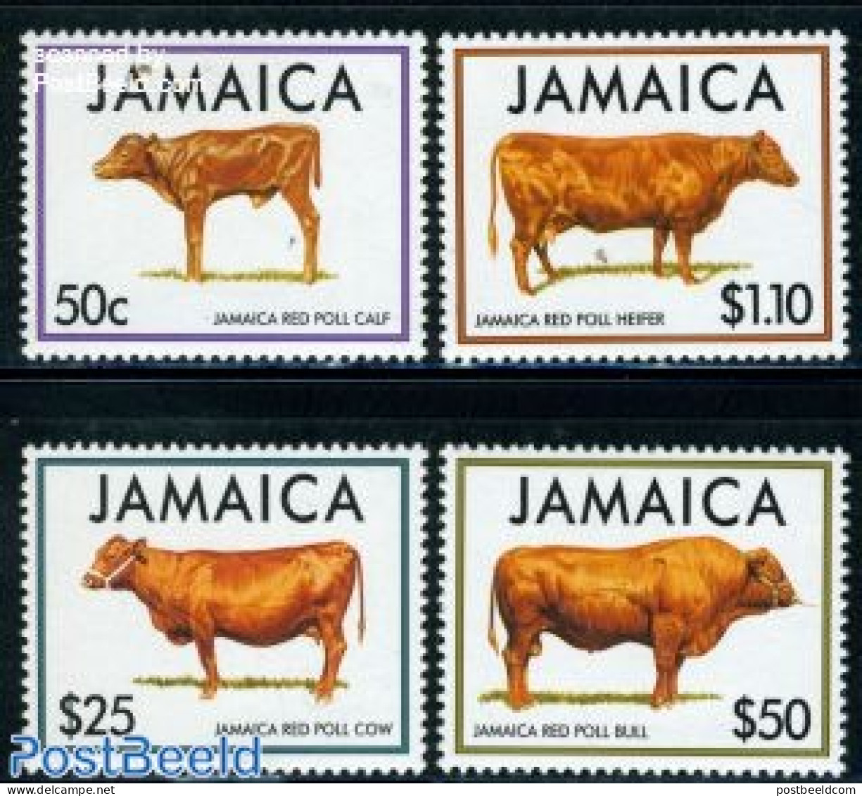 Jamaica 1994 Rinder 4v, Mint NH, Nature - Animals (others & Mixed) - Cattle - Giamaica (1962-...)