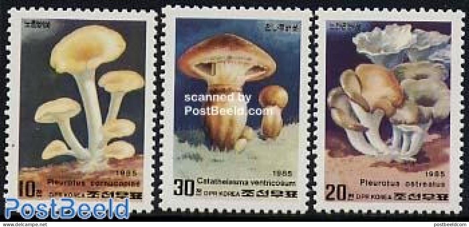 Korea, North 1985 Mushrooms 3v, Mint NH, Nature - Mushrooms - Mushrooms