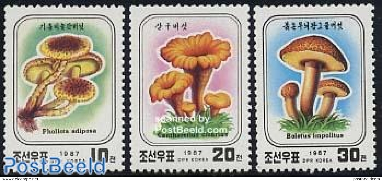 Korea, North 1987 Mushrooms 3v, Mint NH, Nature - Mushrooms - Funghi