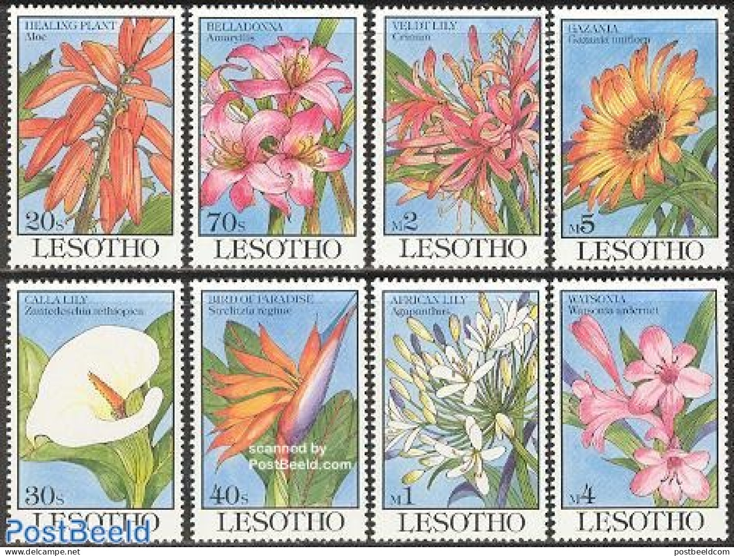 Lesotho 1993 Flowers 8v, Mint NH, Nature - Flowers & Plants - Lesotho (1966-...)