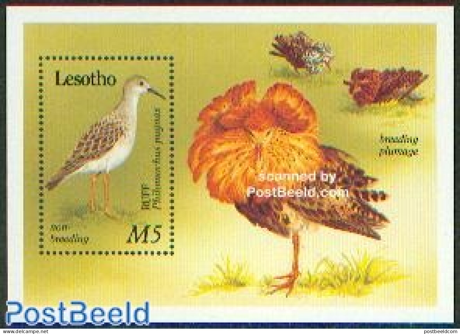 Lesotho 1989 Waterbirds S/s, Mint NH, Nature - Birds - Lesotho (1966-...)