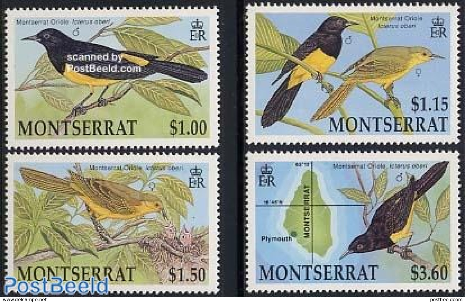 Montserrat 1992 Birds 4v, Mint NH, Nature - Various - Birds - Maps - Géographie