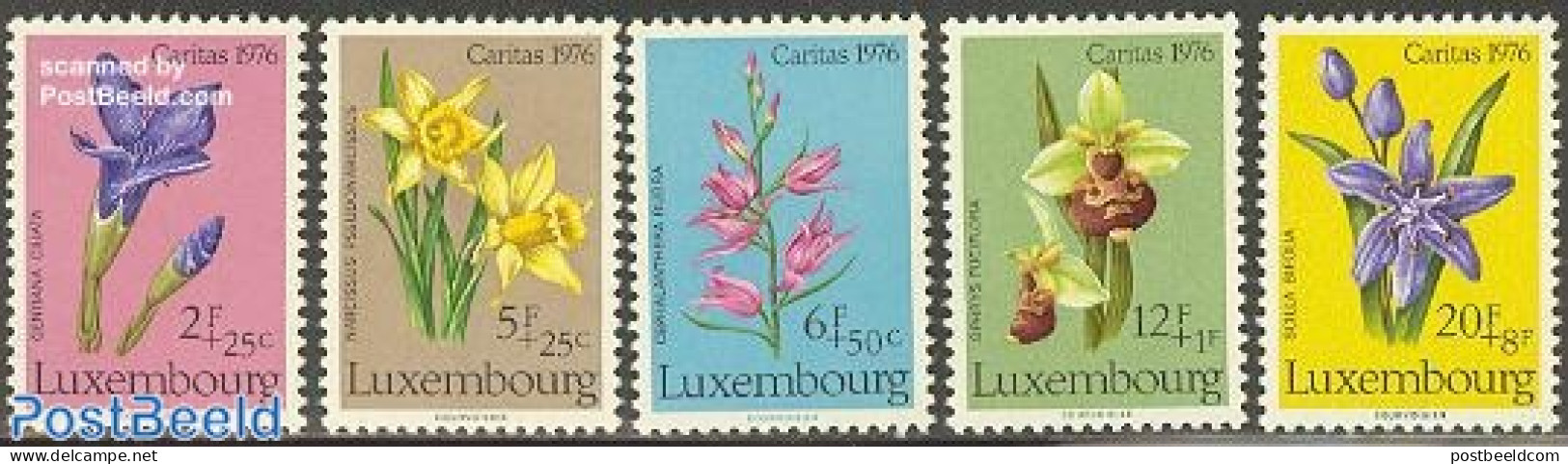 Luxemburg 1976 Caritas, Flowers 5v, Mint NH, Nature - Flowers & Plants - Neufs