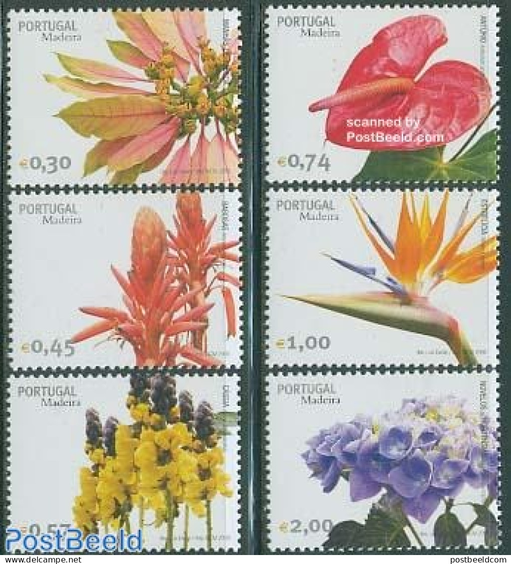 Madeira 2006 Flowers 6v, Mint NH, Nature - Flowers & Plants - Madeira