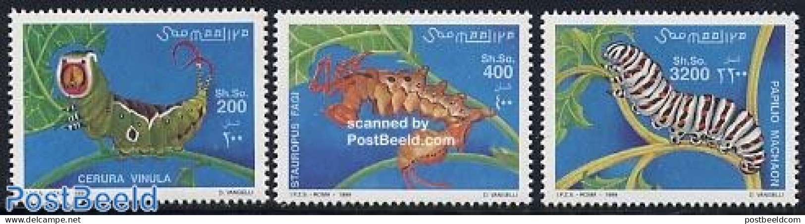 Somalia 1999 Insects 3v, Mint NH, Nature - Butterflies - Insects - Somalia (1960-...)