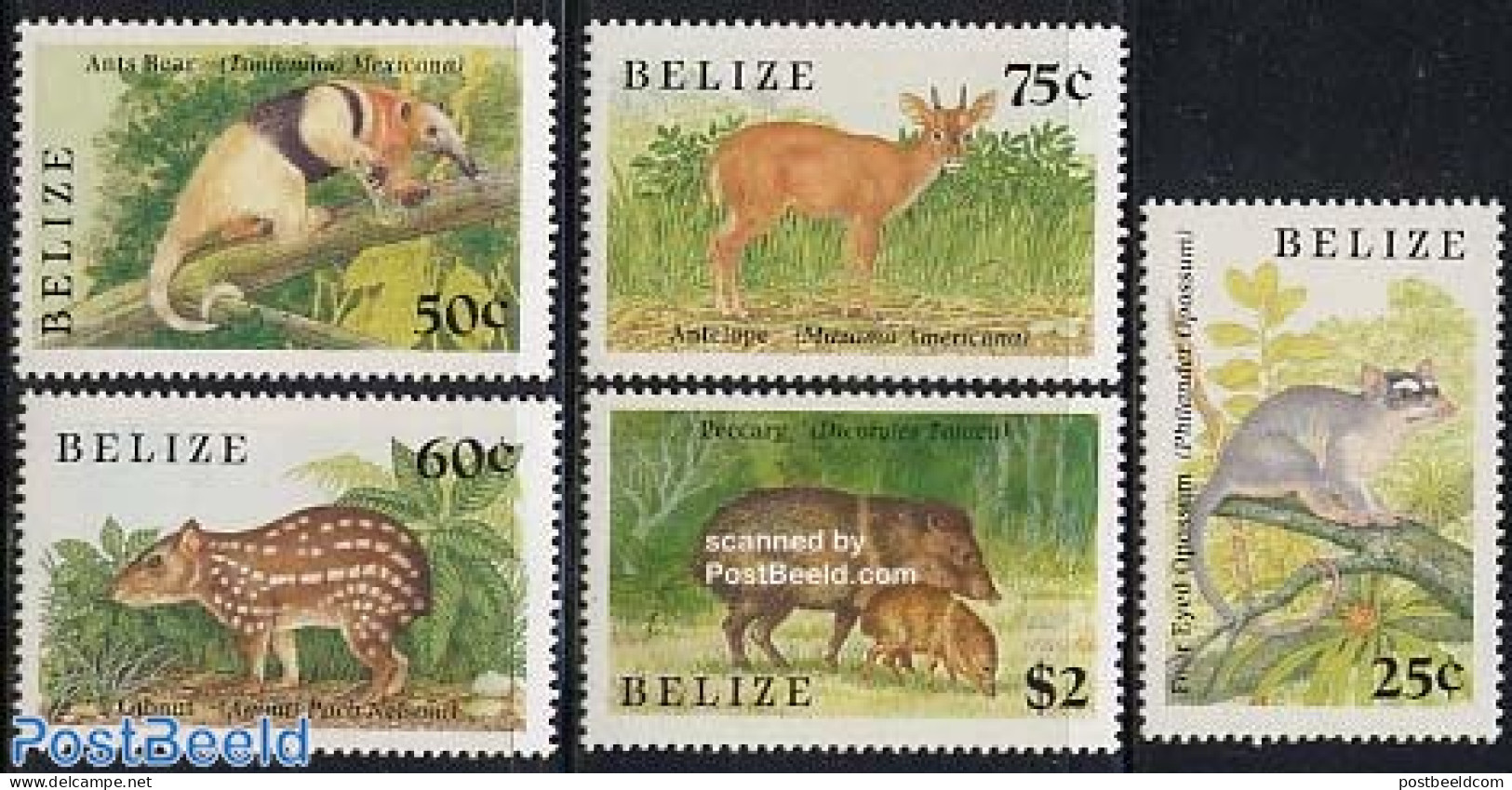 Belize/British Honduras 1989 Animals 5v, Mint NH, Nature - Animals (others & Mixed) - Brits-Honduras (...-1970)