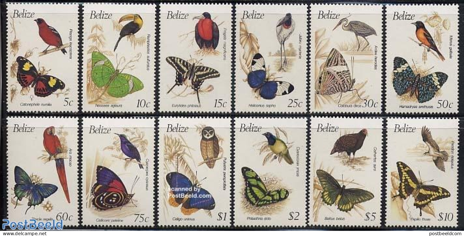 Belize/British Honduras 1990 Birds & Butterflies 12v, Mint NH, Nature - Birds - Butterflies - Owls - Parrots - Toucans - Britisch-Honduras (...-1970)