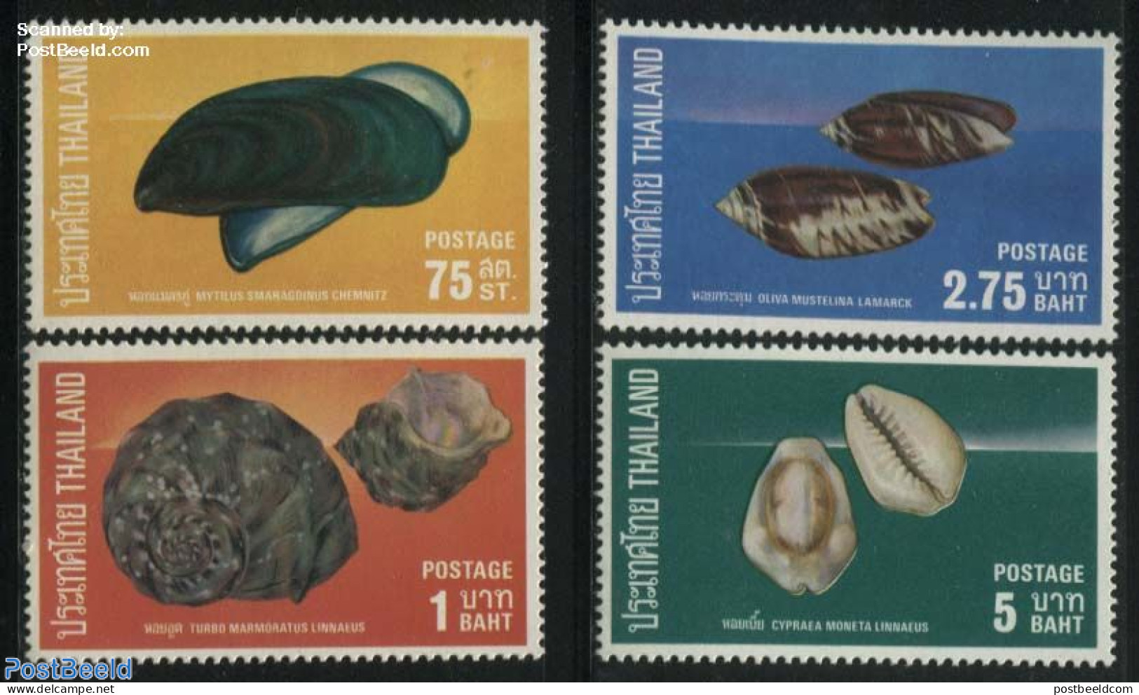Thailand 1975 Shells 4v, Mint NH, Nature - Shells & Crustaceans - Marine Life