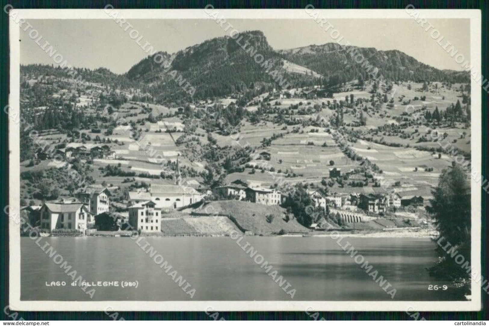 Belluno Alleghe Lago Foto Cartolina RB5647 - Belluno