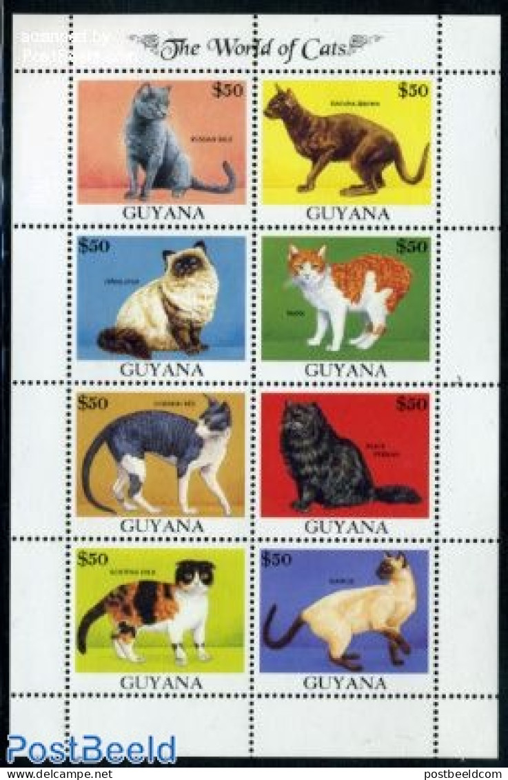 Guyana 1992 Cats 8v M/s, Mint NH, Nature - Cats - Guyana (1966-...)