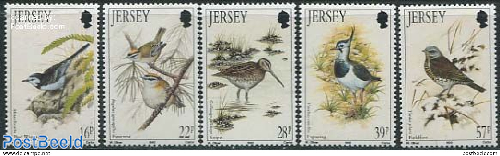 Jersey 1992 Birds 5v, Mint NH, Nature - Birds - Jersey