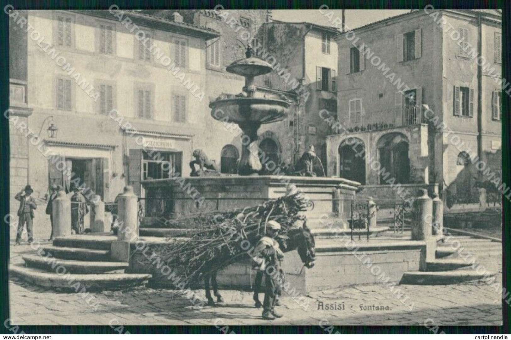 Perugia Assisi Fontana Brunner 13638 Cartolina RB5596 - Perugia