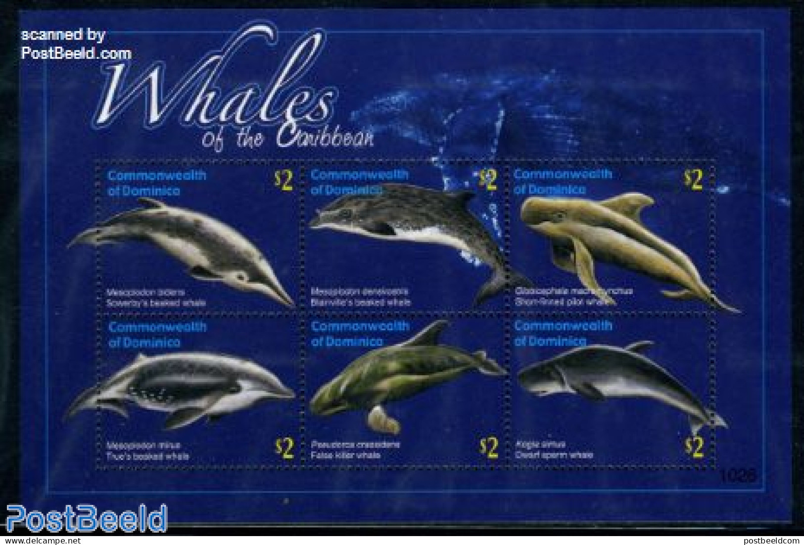 Dominica 2010 Whales 6v M/s, Mint NH, Nature - Sea Mammals - Dominicaanse Republiek