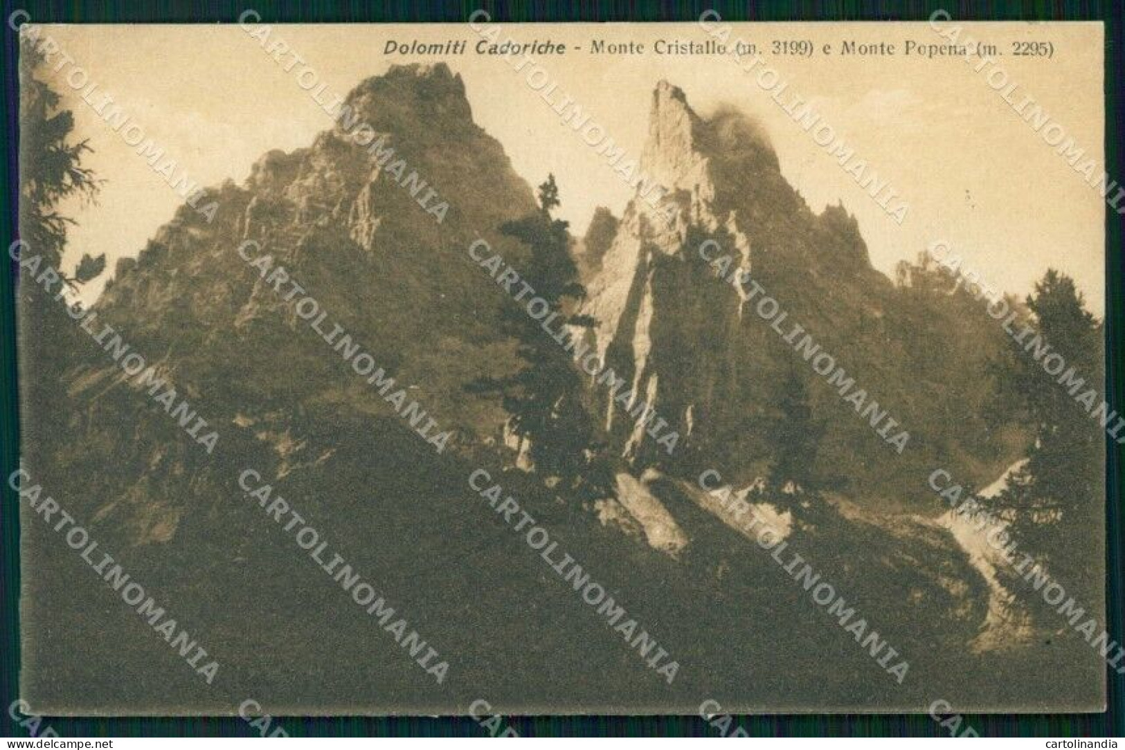 Belluno Cadore Monte Cristallo E Monte Popena Breveglieri 2084 Cartolina RB6936 - Belluno