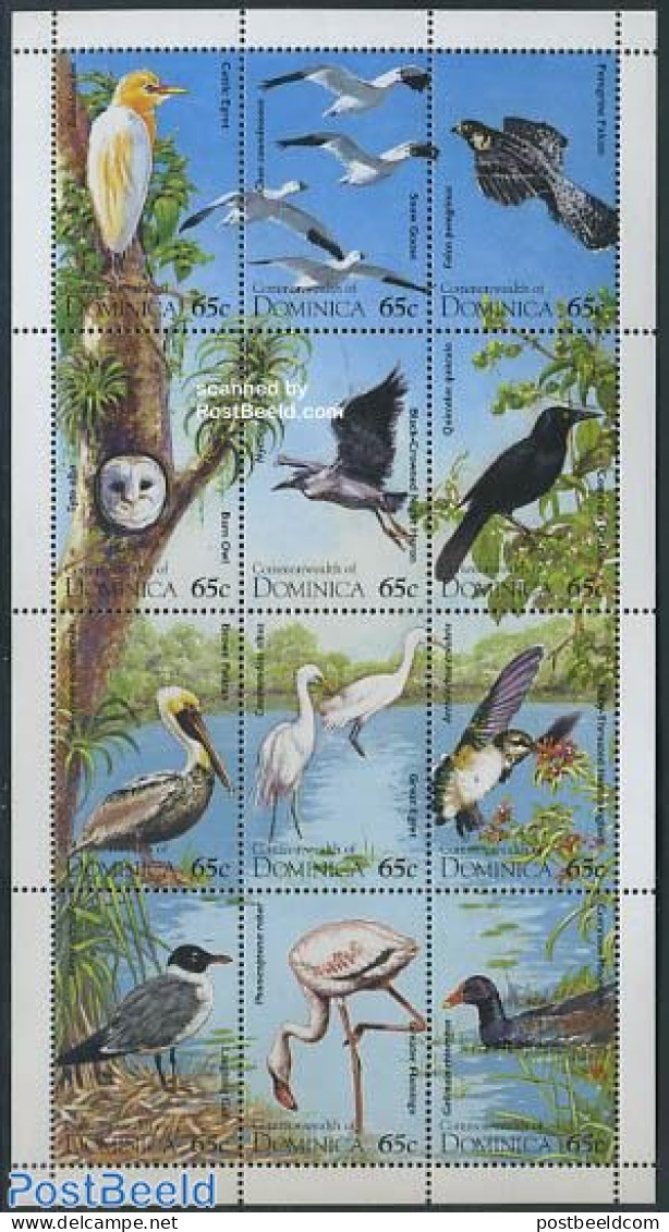 Dominica 1995 Water Birds 12v M/s, Mint NH, Nature - Birds - Owls - Flamingo - República Dominicana