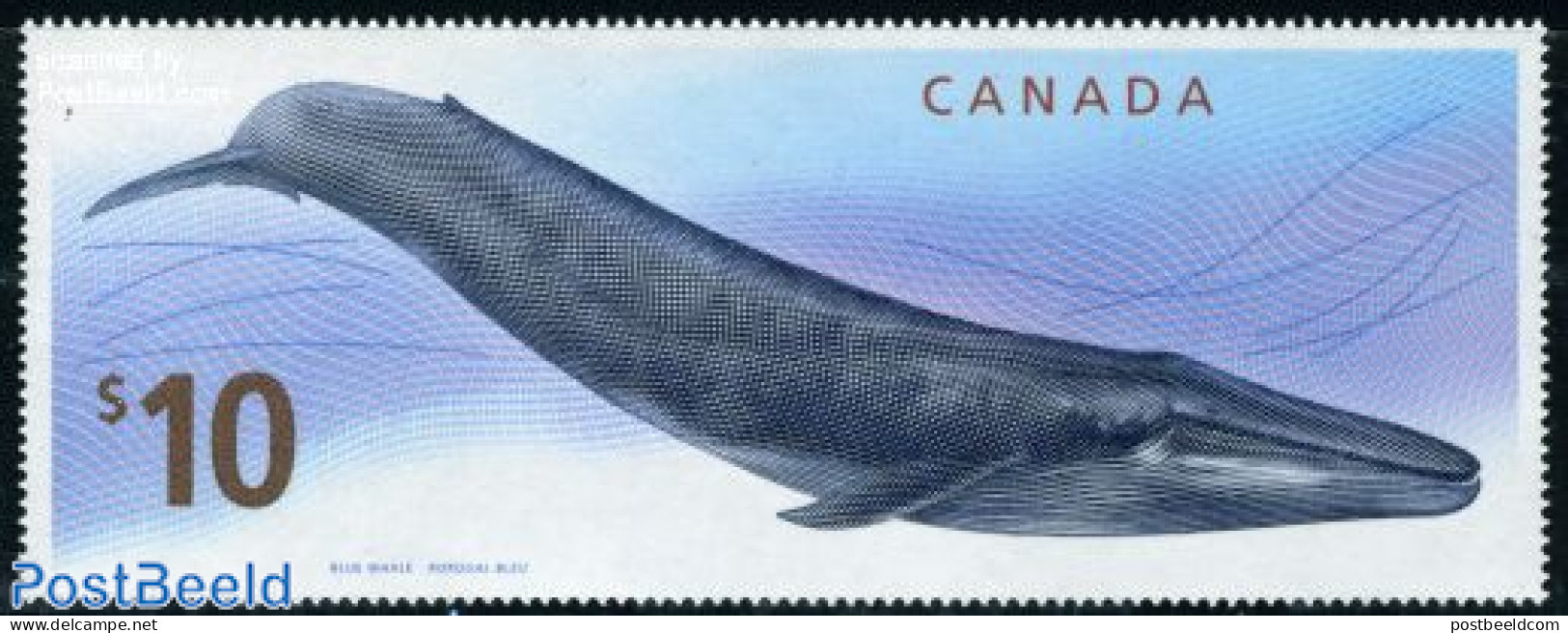 Canada 2010 Definitive, Whale 1v, Mint NH, Nature - Sea Mammals - Neufs