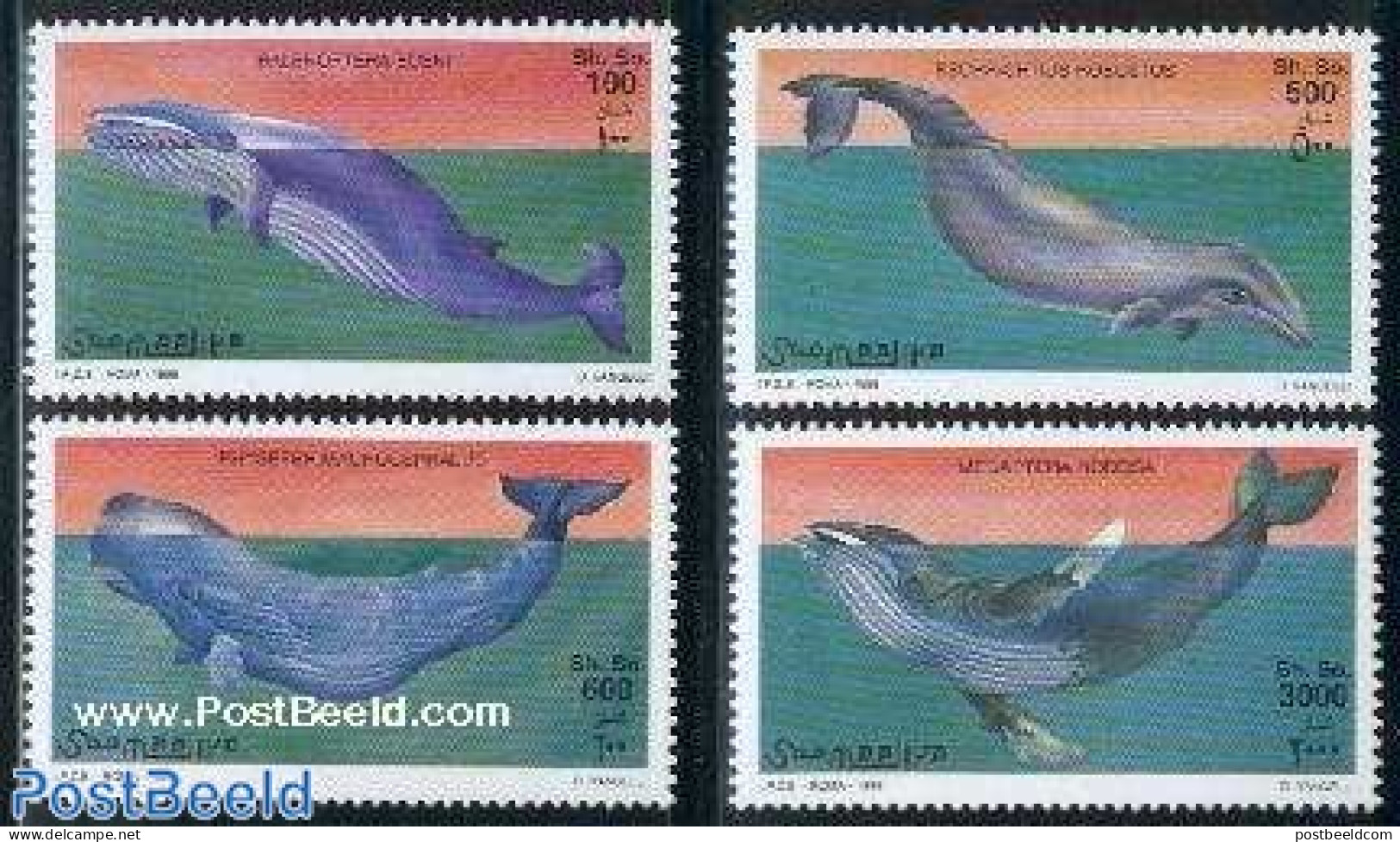 Somalia 1999 Sea Mammals 4v, Mint NH, Nature - Sea Mammals - Somalië (1960-...)