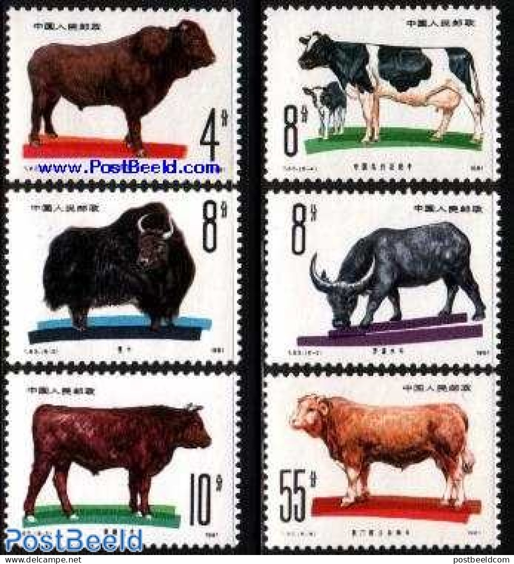 China People’s Republic 1981 Rinder 6v, Mint NH, Nature - Animals (others & Mixed) - Cattle - Nuevos