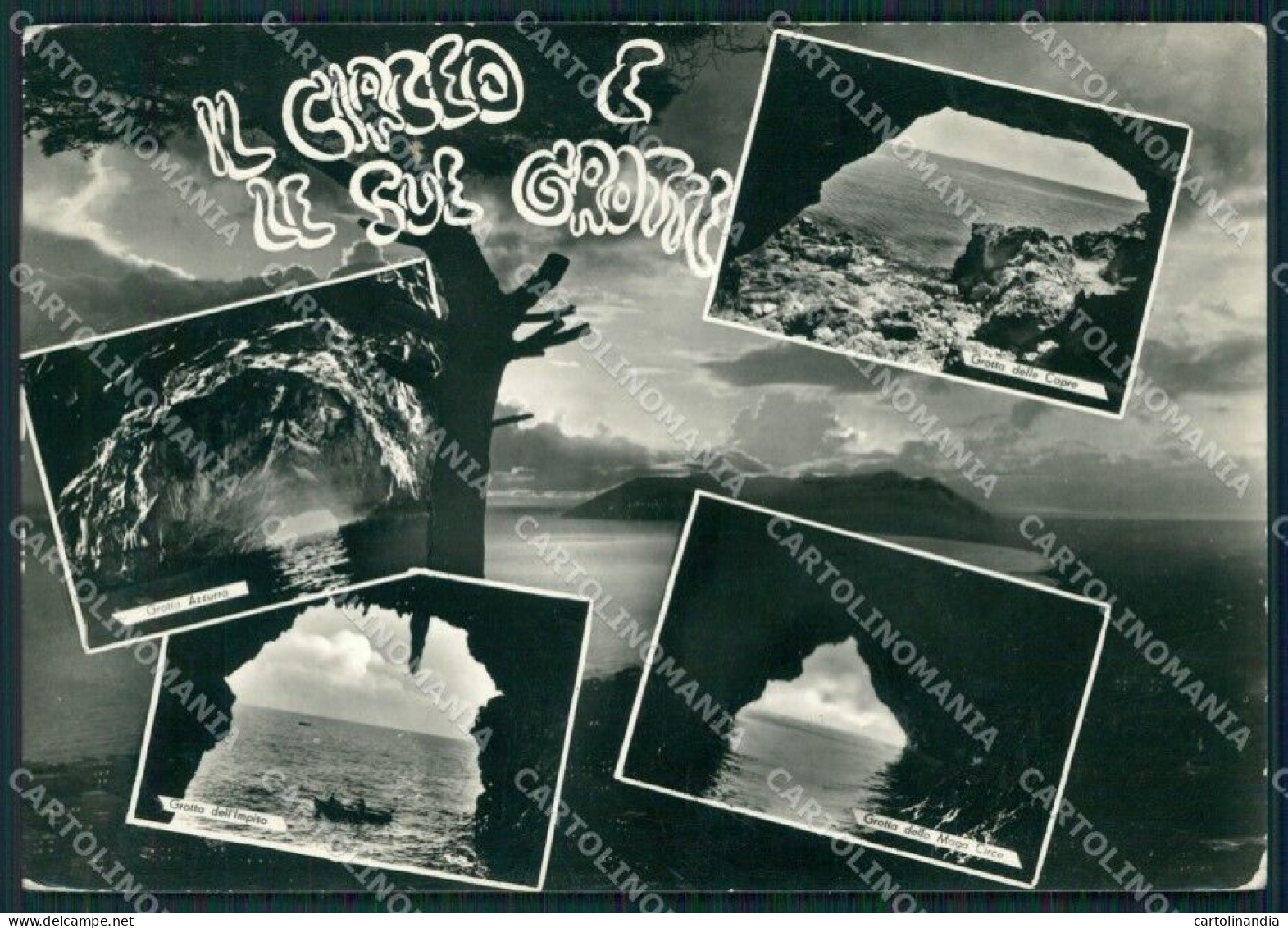 Latina San Felice Circeo Grotte Foto FG Cartolina ZK5236 - Latina