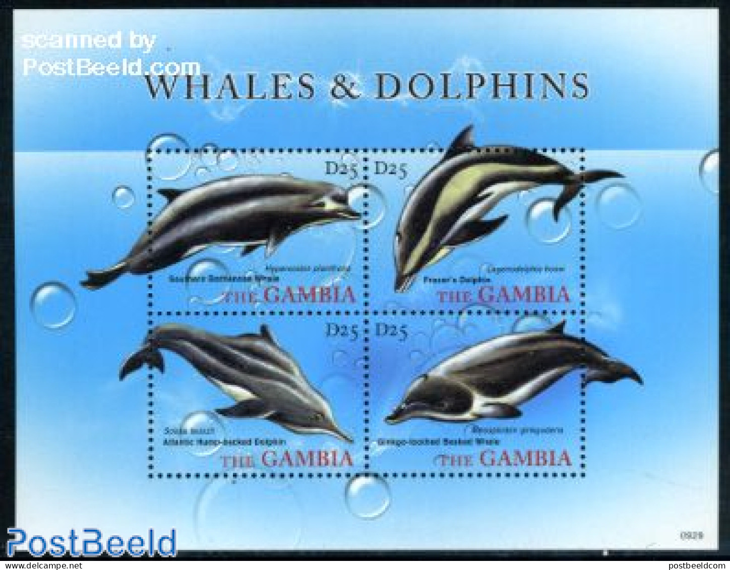Gambia 2009 Whales & Dolpins 4v M/s, Mint NH, Nature - Sea Mammals - Gambie (...-1964)