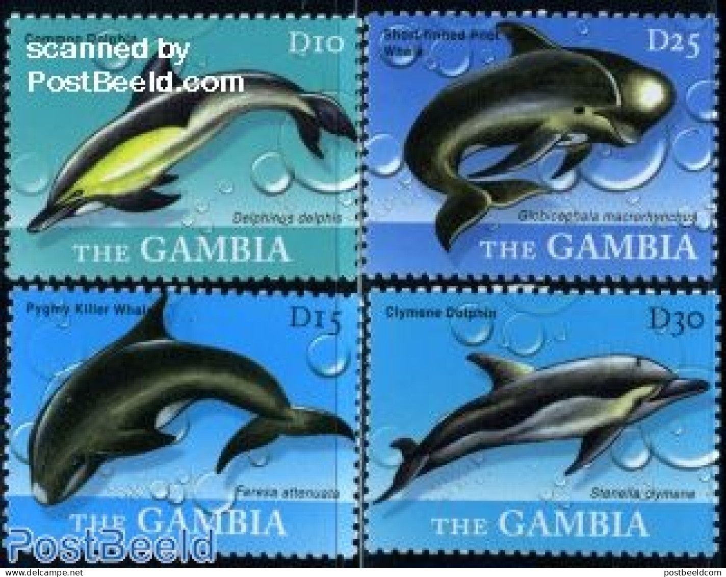 Gambia 2009 Whales & Dolphins 4v, Mint NH, Nature - Sea Mammals - Gambie (...-1964)