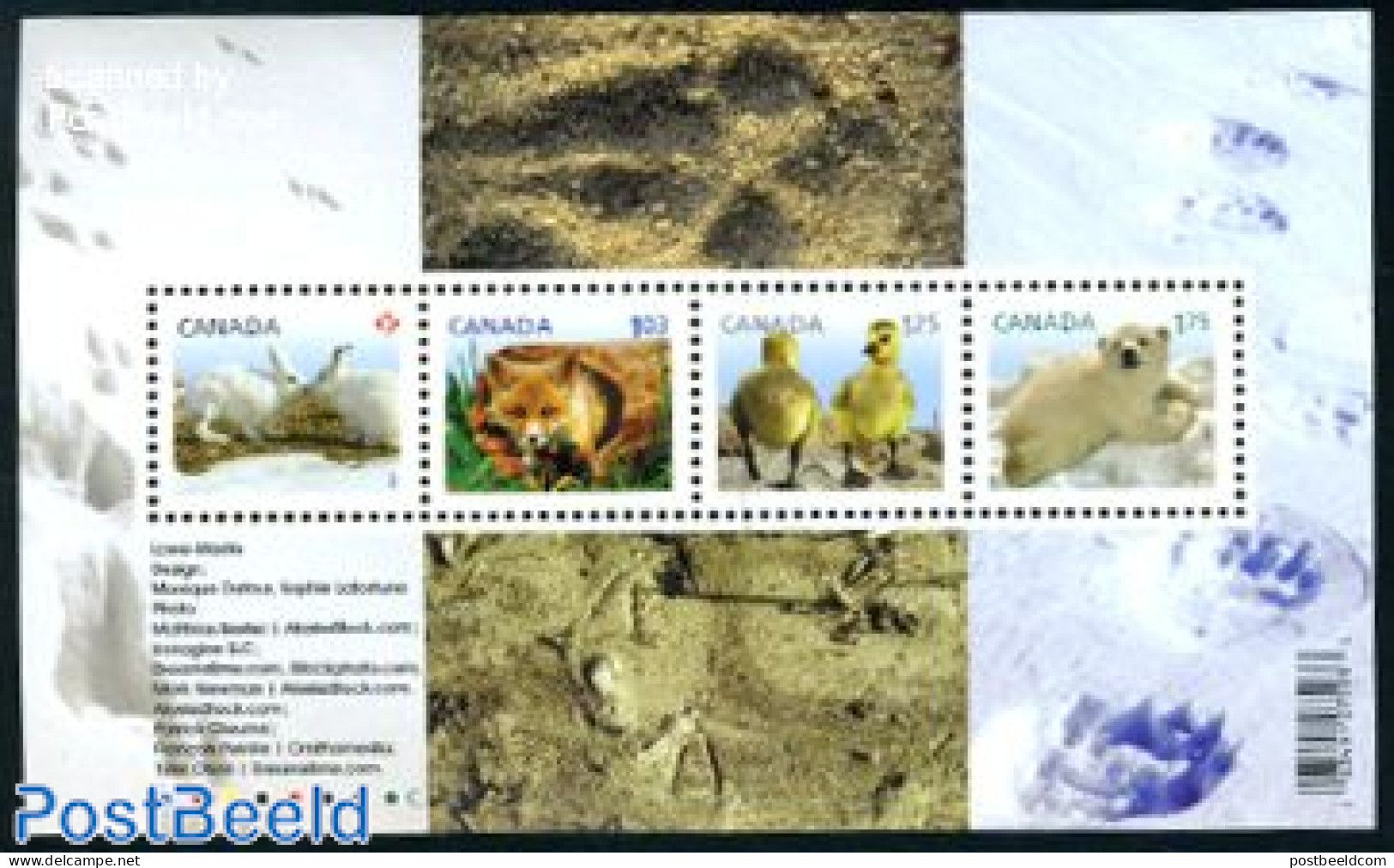 Canada 2011 Baby Wildlife S/s, Mint NH, Nature - Animals (others & Mixed) - Bears - Birds - Poultry - Rabbits / Hares - Neufs