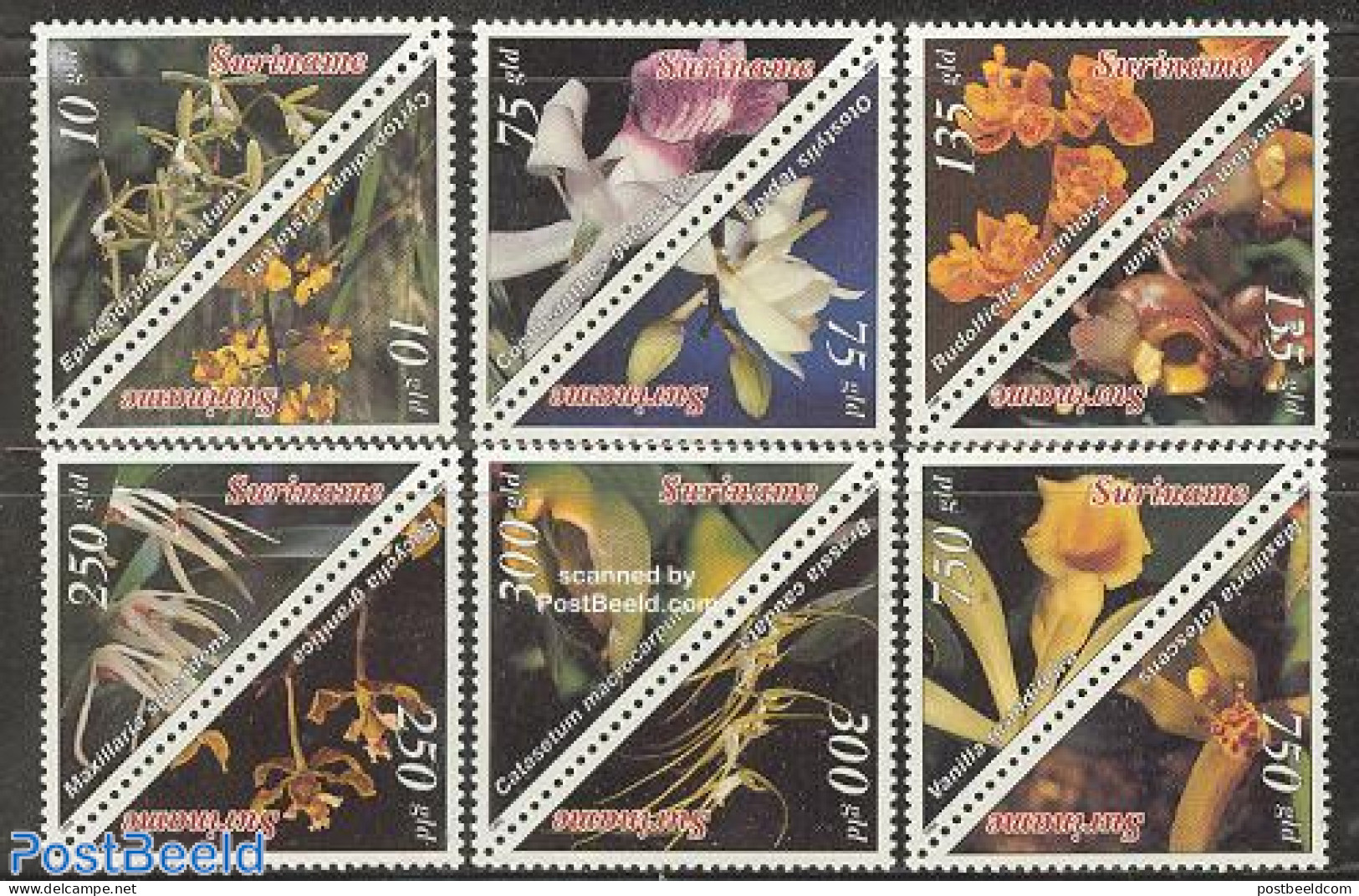 Suriname, Republic 1996 Orchids 6x2v, Mint NH, Nature - Flowers & Plants - Orchids - Suriname