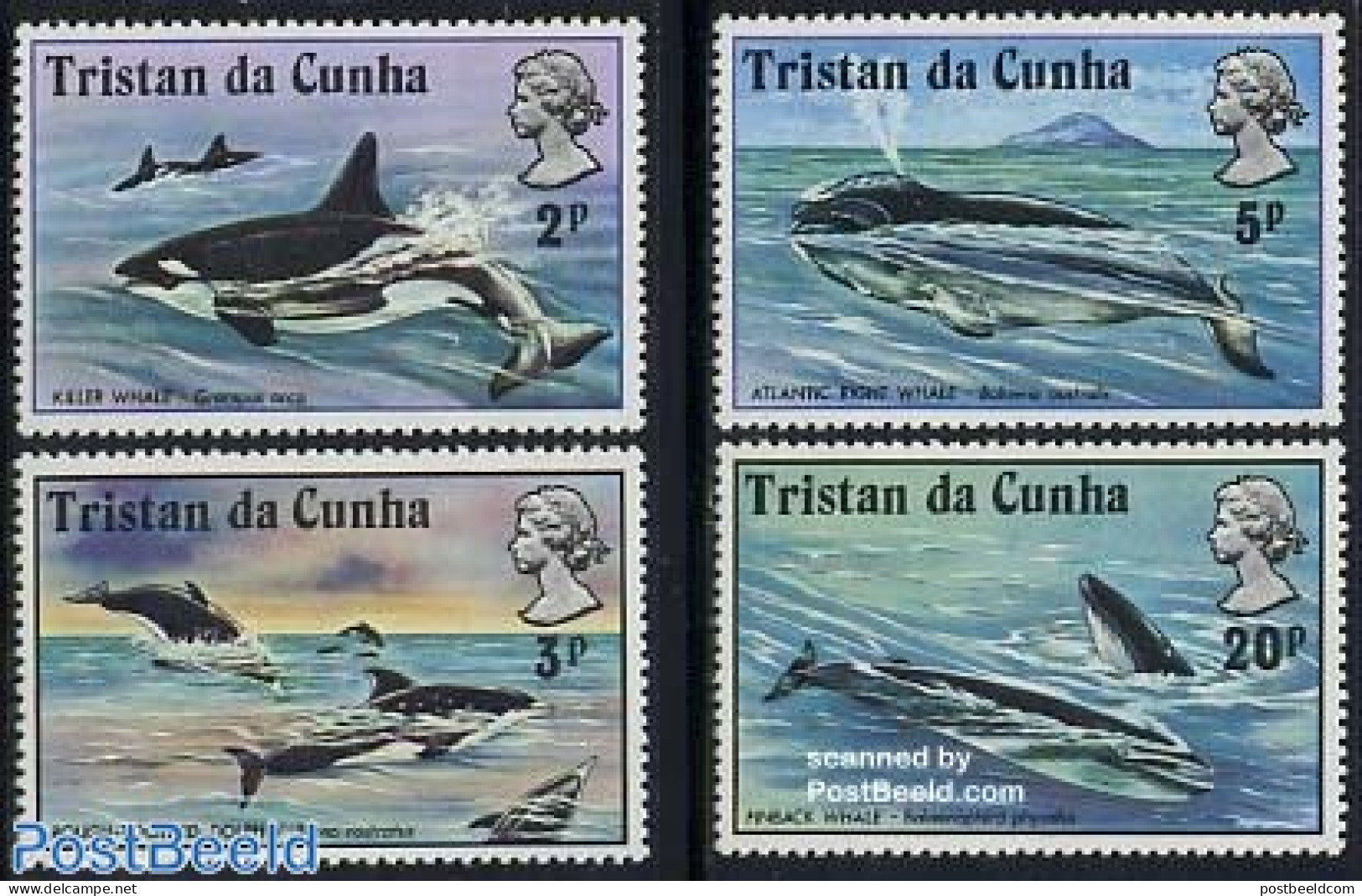 Tristan Da Cunha 1975 Whales 4v, Mint NH, Nature - Sea Mammals - Tristan Da Cunha