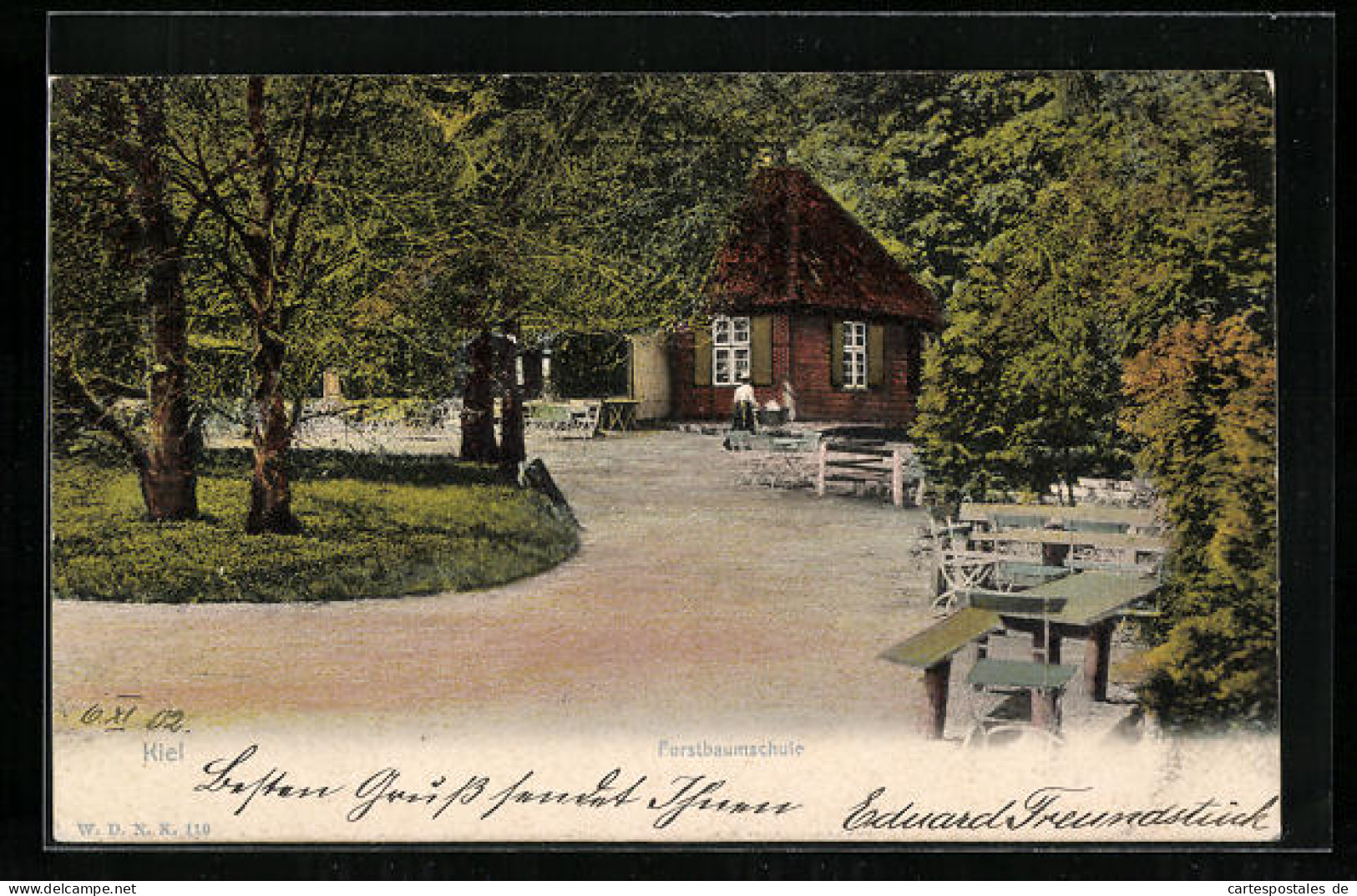 AK Kiel, Blick Auf Die Forstbaumschule  - Kiel