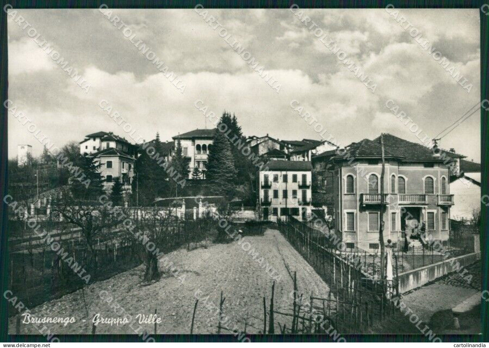 Biella Brusnengo Foto FG Cartolina KB4022 - Biella