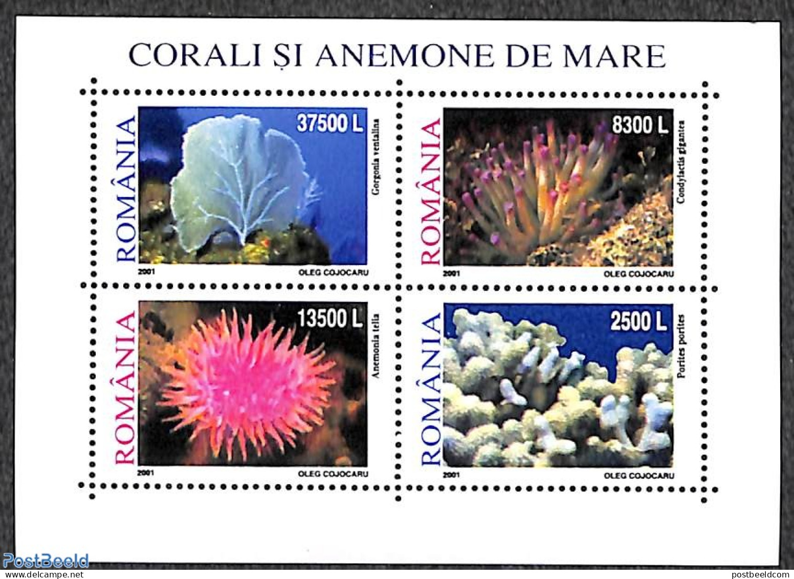 Romania 2001 Corals 4v M/s, Mint NH, Nature - Corals - Ungebraucht