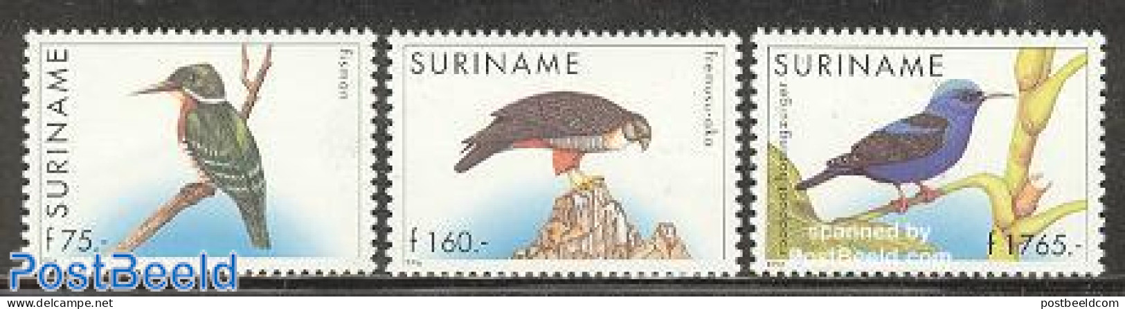 Suriname, Republic 1996 Birds 3v (75g,160g,1765g), Mint NH, Nature - Birds - Suriname