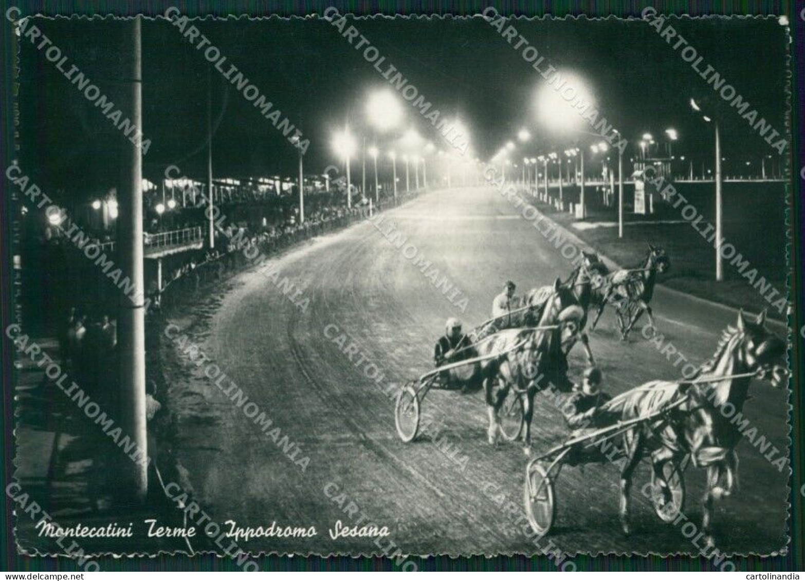 Pistoia Montecatini Terme Ippodromo Foto FG Cartolina ZKM8107 - Pistoia