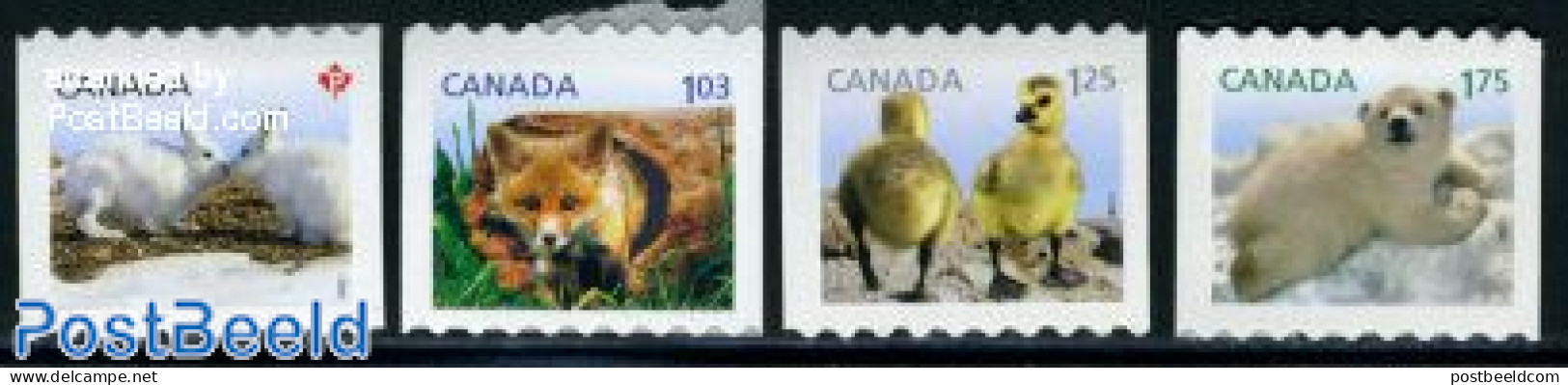 Canada 2011 Baby Wildlife 4v S-a, Mint NH, Nature - Animals (others & Mixed) - Bears - Rabbits / Hares - Unused Stamps