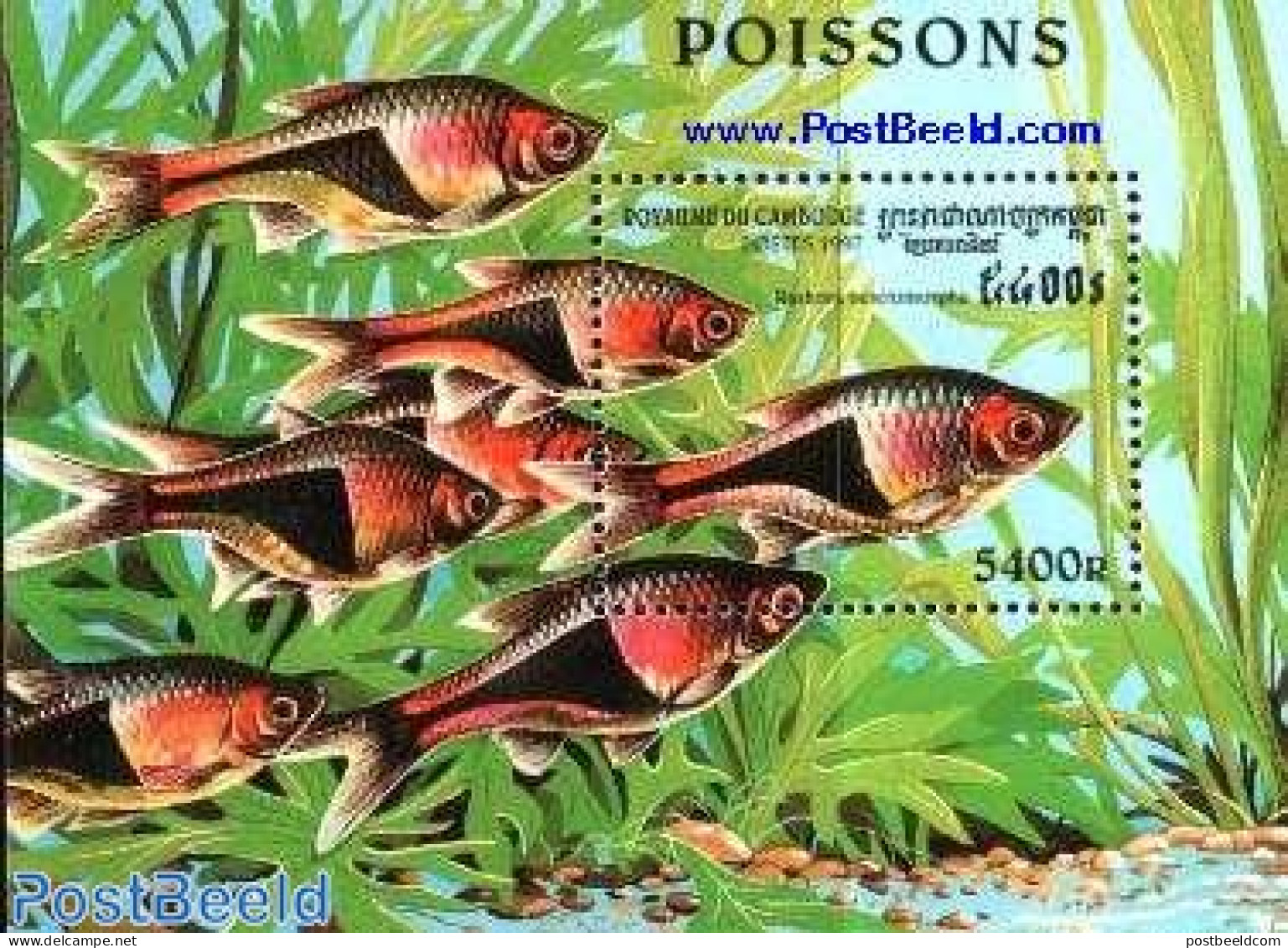 Cambodia 1997 Tropical Fish S/s, Mint NH, Nature - Fish - Poissons