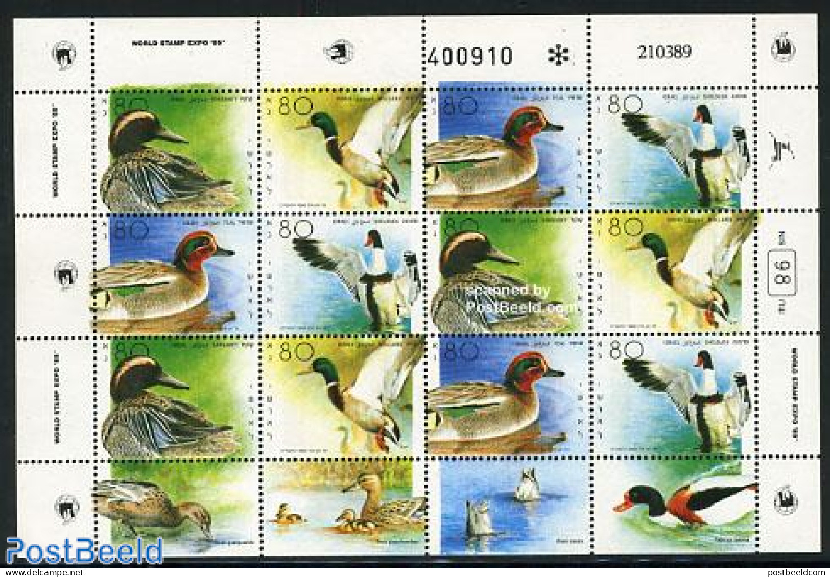 Israel 1989 Ducks M/s, Mint NH, Nature - Birds - Ducks - Ungebraucht (mit Tabs)