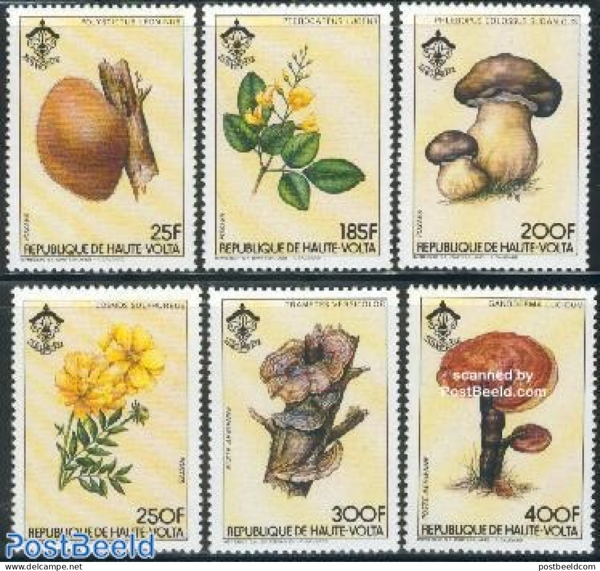 Upper Volta 1984 Flowers And Mushrooms 6v, Mint NH, Nature - Sport - Flowers & Plants - Mushrooms - Scouting - Funghi
