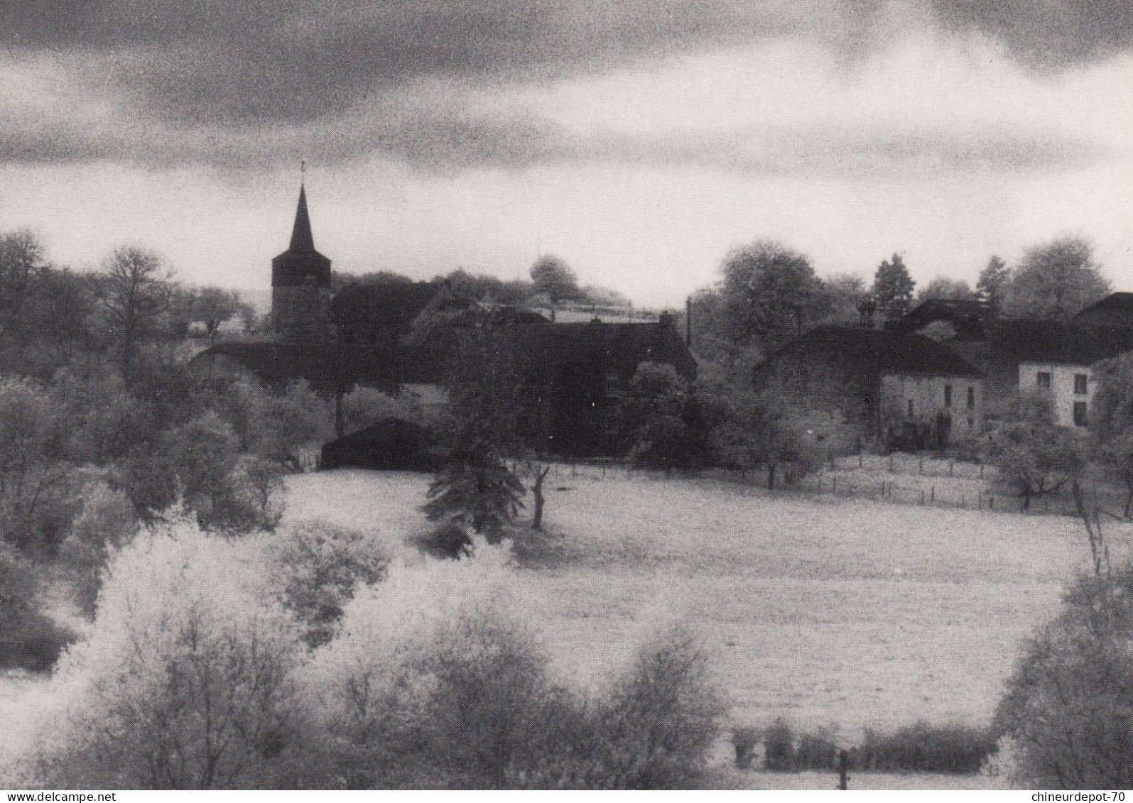 BASTOGNE Visage Du Pays De Bastogne Photo Jean Mezier BENONCHAMPS - Bastenaken