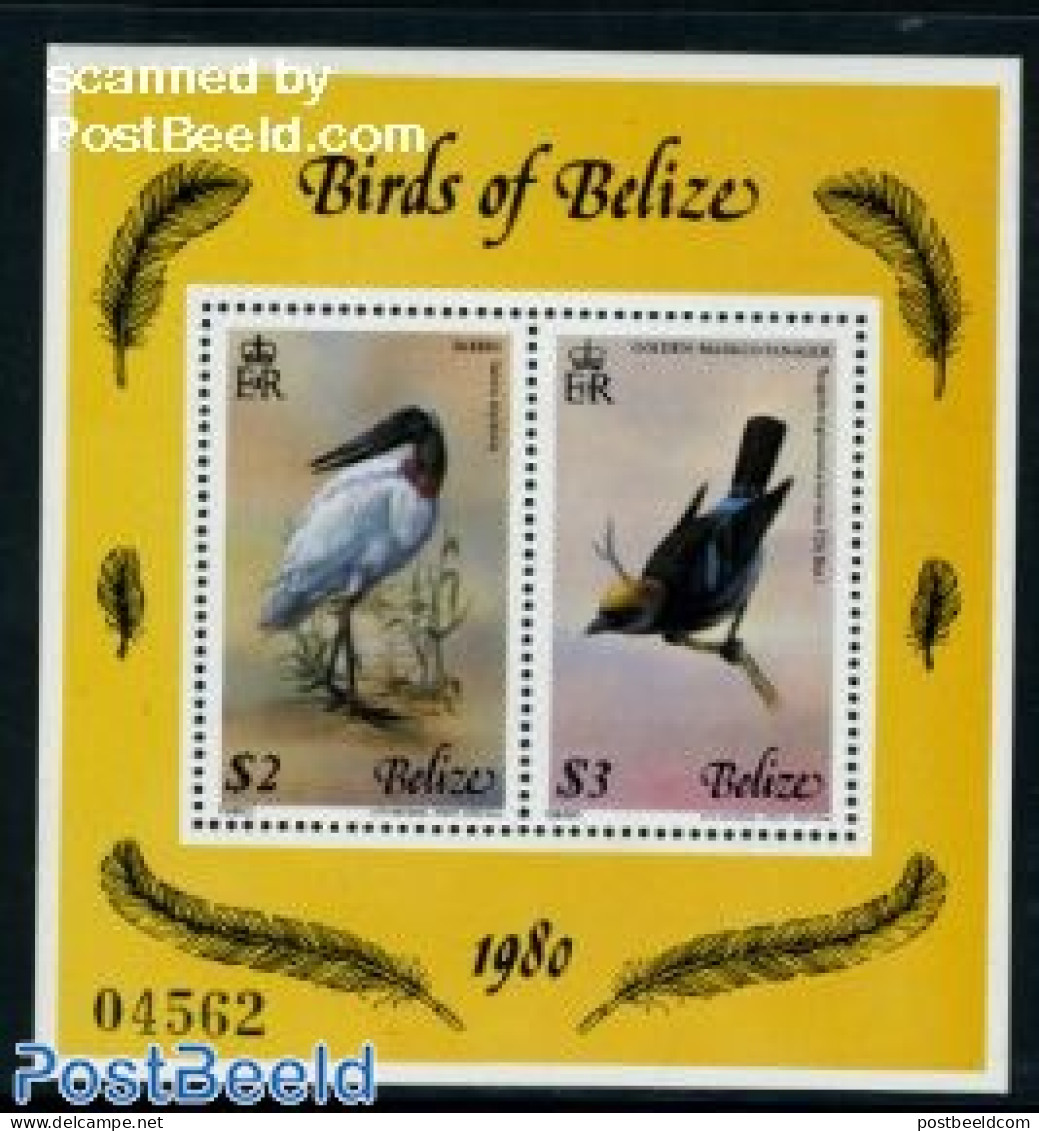 Belize/British Honduras 1980 Birds S/s (with 2 Stamps), Mint NH, Nature - Birds - Honduras Britannico (...-1970)