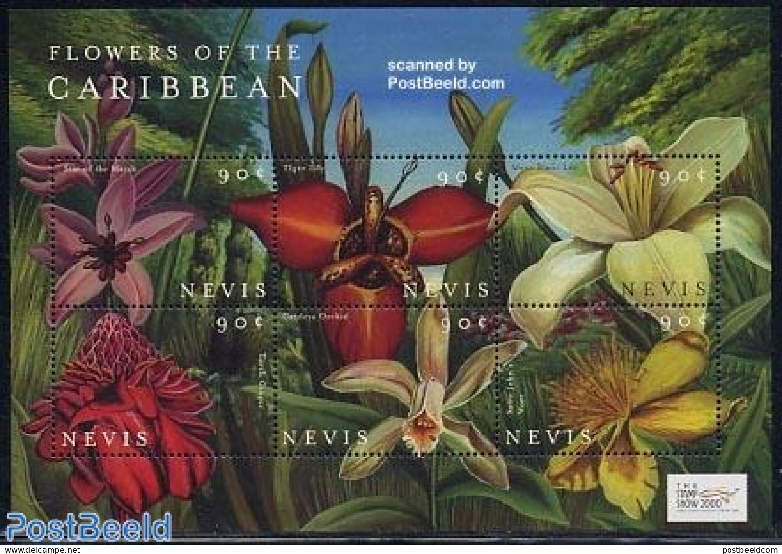 Nevis 2000 Stamp Show, Flowers 6v M/s (6x90c), Mint NH, Nature - Flowers & Plants - St.Kitts-et-Nevis ( 1983-...)