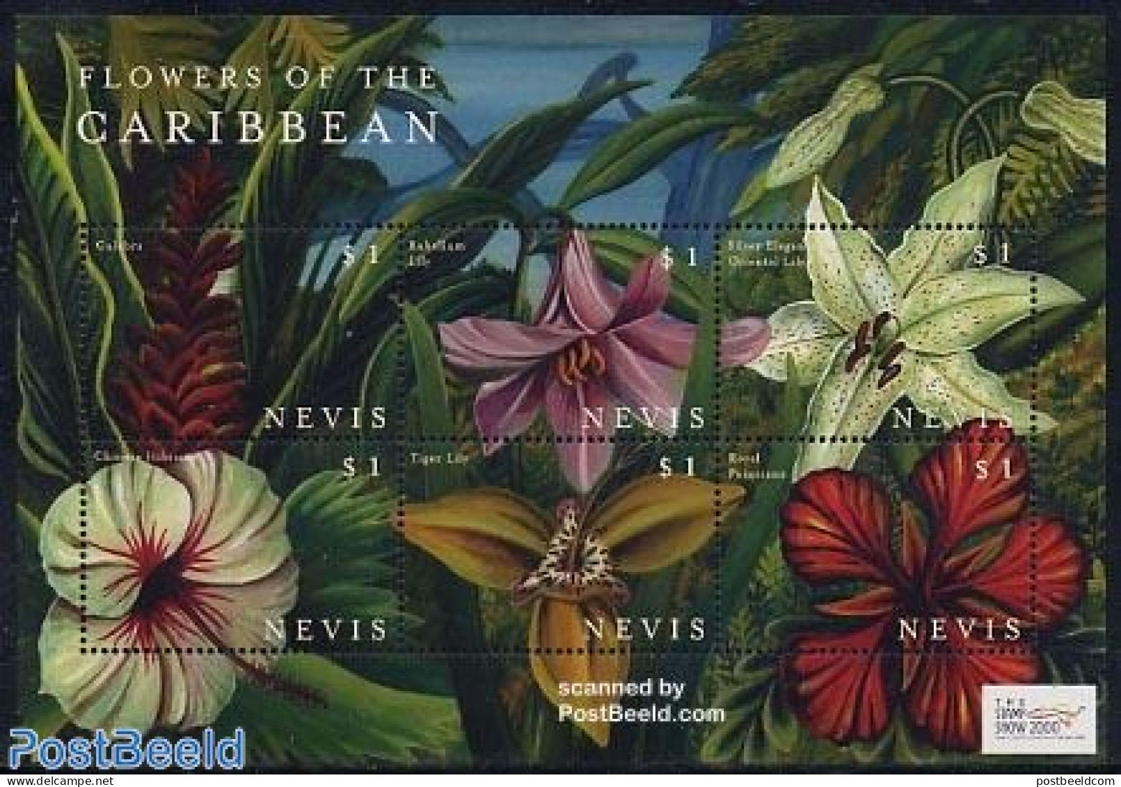 Nevis 2000 Stamp Show, Flowers 6v M/s (6x1.00), Mint NH, Nature - Flowers & Plants - St.Kitts Y Nevis ( 1983-...)