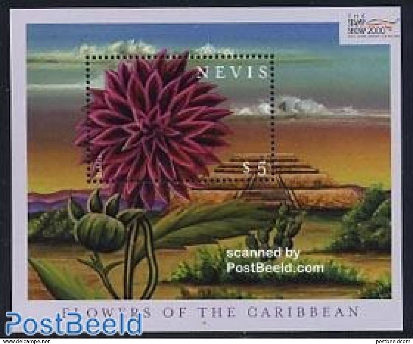 Nevis 2000 Stamp Show S/s, Dahlia, Mint NH, Nature - Flowers & Plants - St.Kitts E Nevis ( 1983-...)